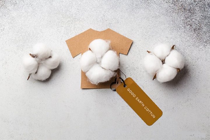 Exporter of Organic Cotton Yarn - Vigour Impex