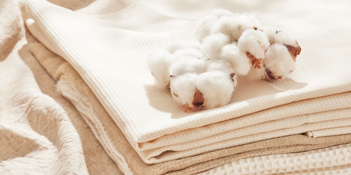 Cotton Buyers and Textile Exporters Do Now